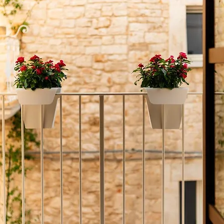 Bed & Breakfast Arringo - Comfy Conversano